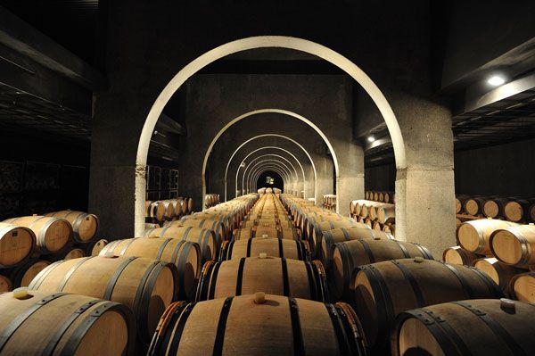 Pago de los Capellanes: La Elegancia del Vino Familiar